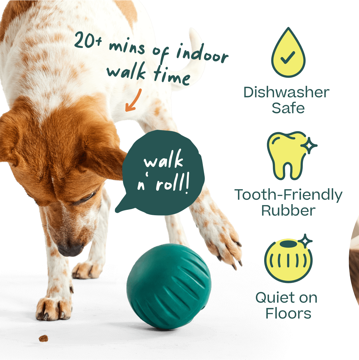 Walkabout Basics Pack