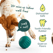 Walkabout Basics Pack