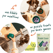 Walkabout Basics Pack