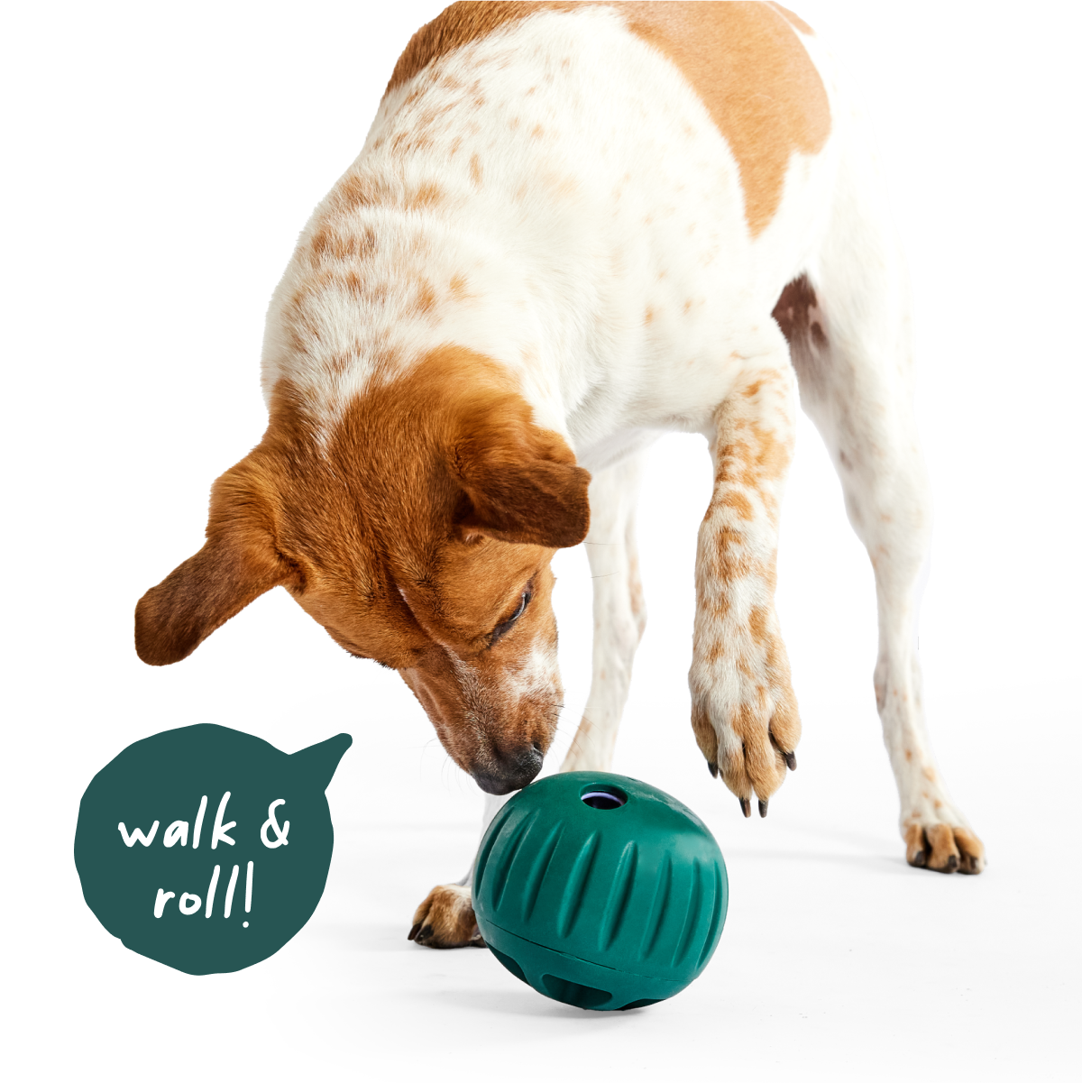 Walkabout Basics Pack