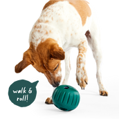 Walkabout Basics Pack