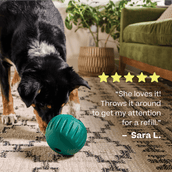 Walkabout Basics Pack