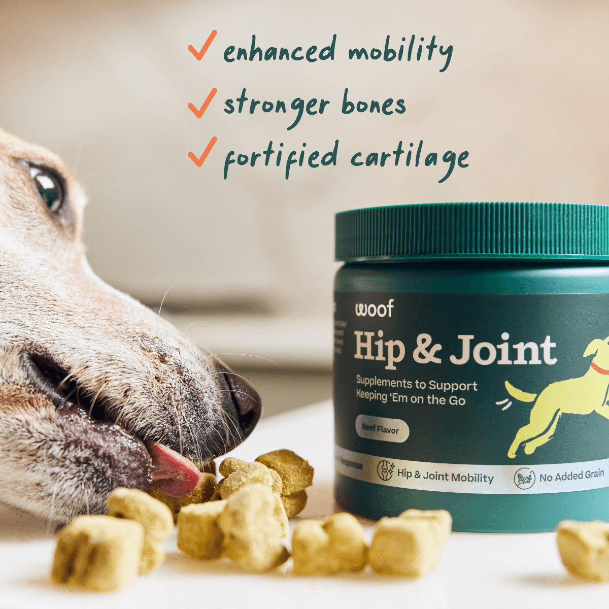 Hip Joint Chews Woof
