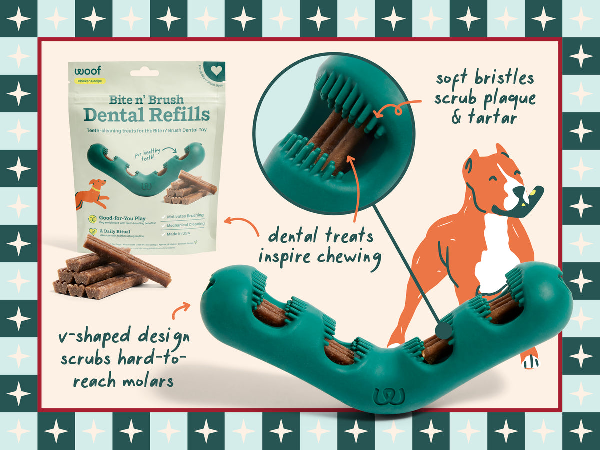 Woof toothbrush comparison image