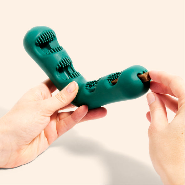 Inserting a Woof dental treat into the toy