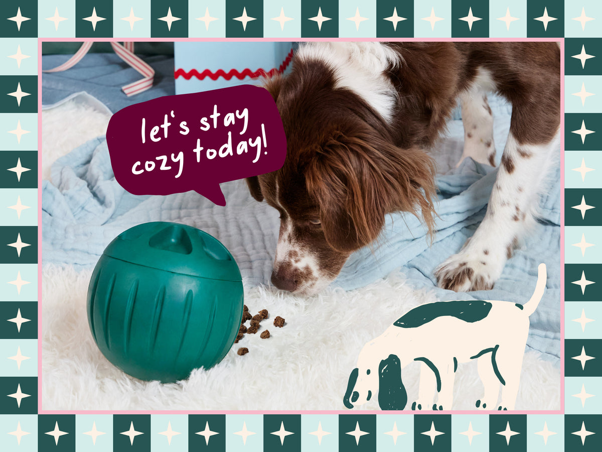 Forager Holiday 10/3 – Woof
