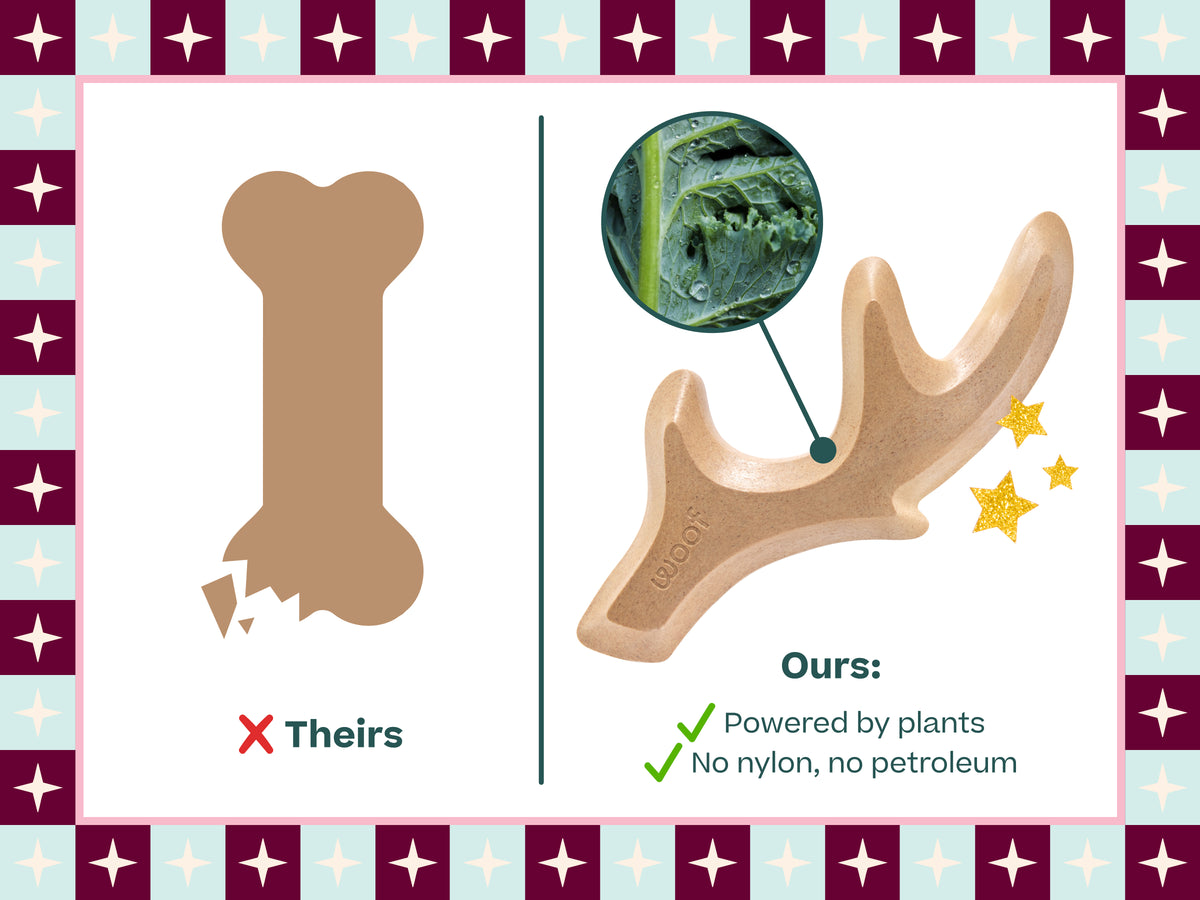 Comparison graphic showing the problems with bones and synthetic dog chews