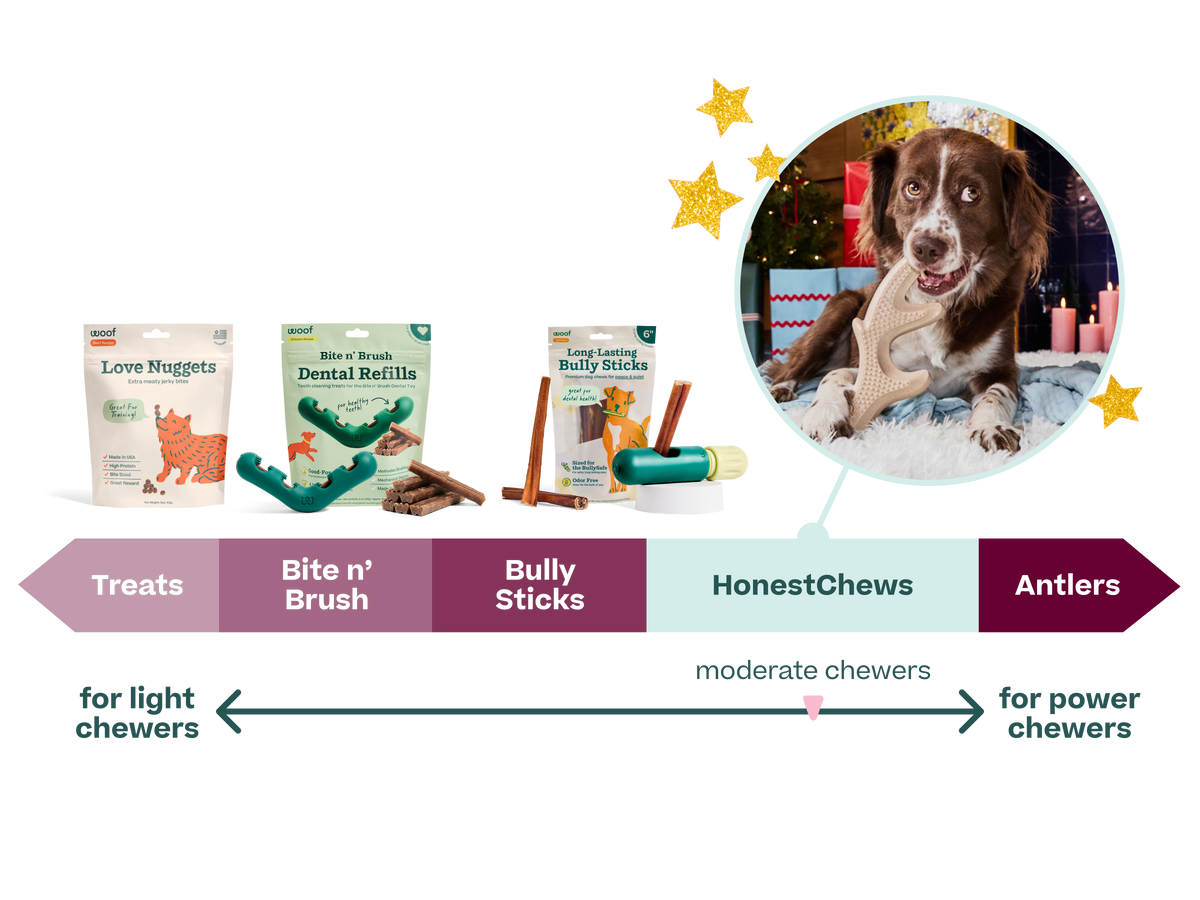 Chart comparing HonestChew chews by how hard a dog chews