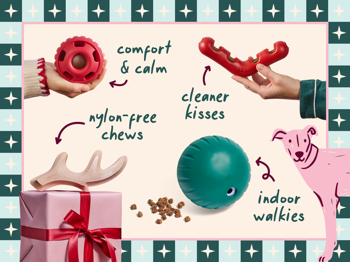 Every Good Dog Deserves Woof holiday gift image