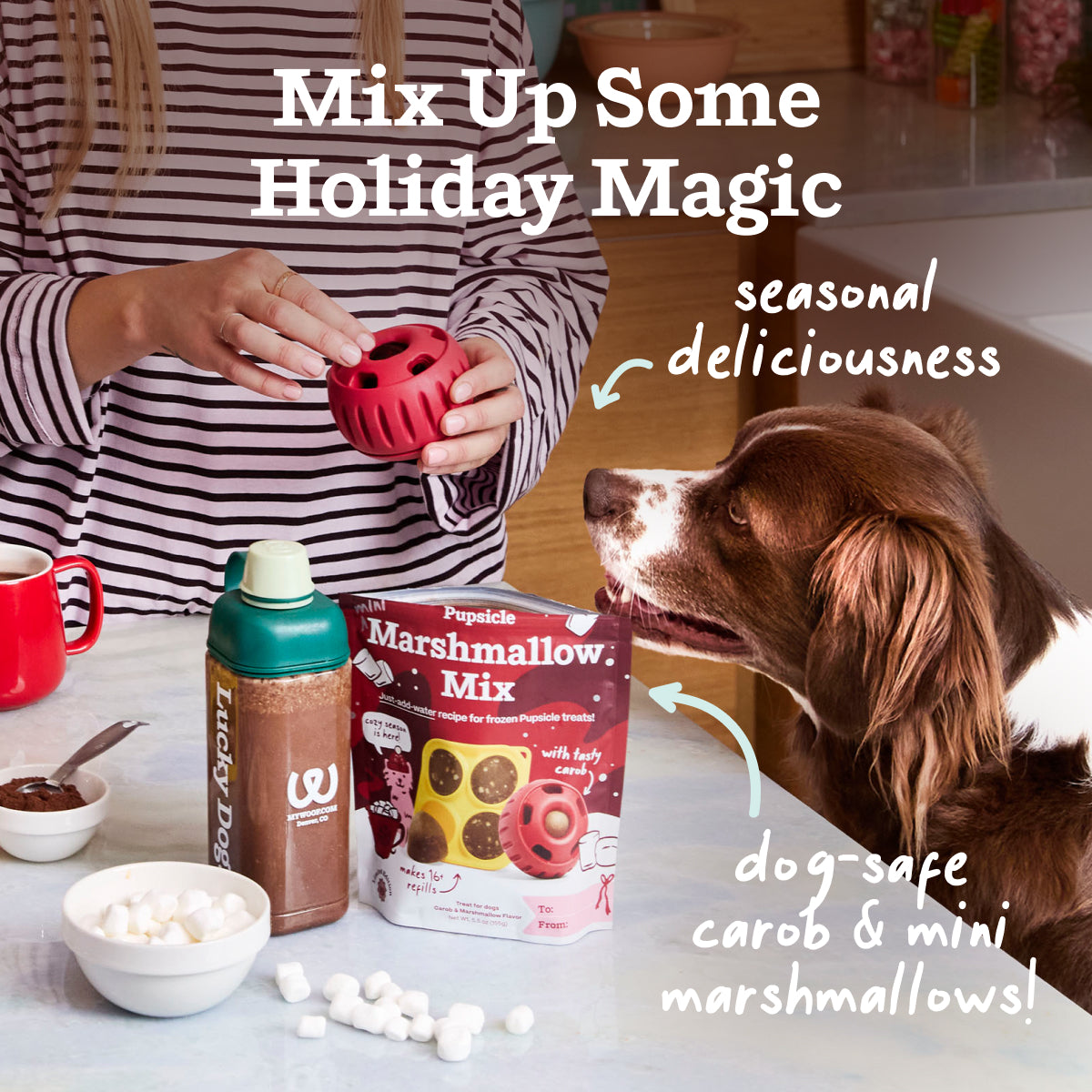 Mix up some holiday magic: dog-safe carob and mini marshmallows