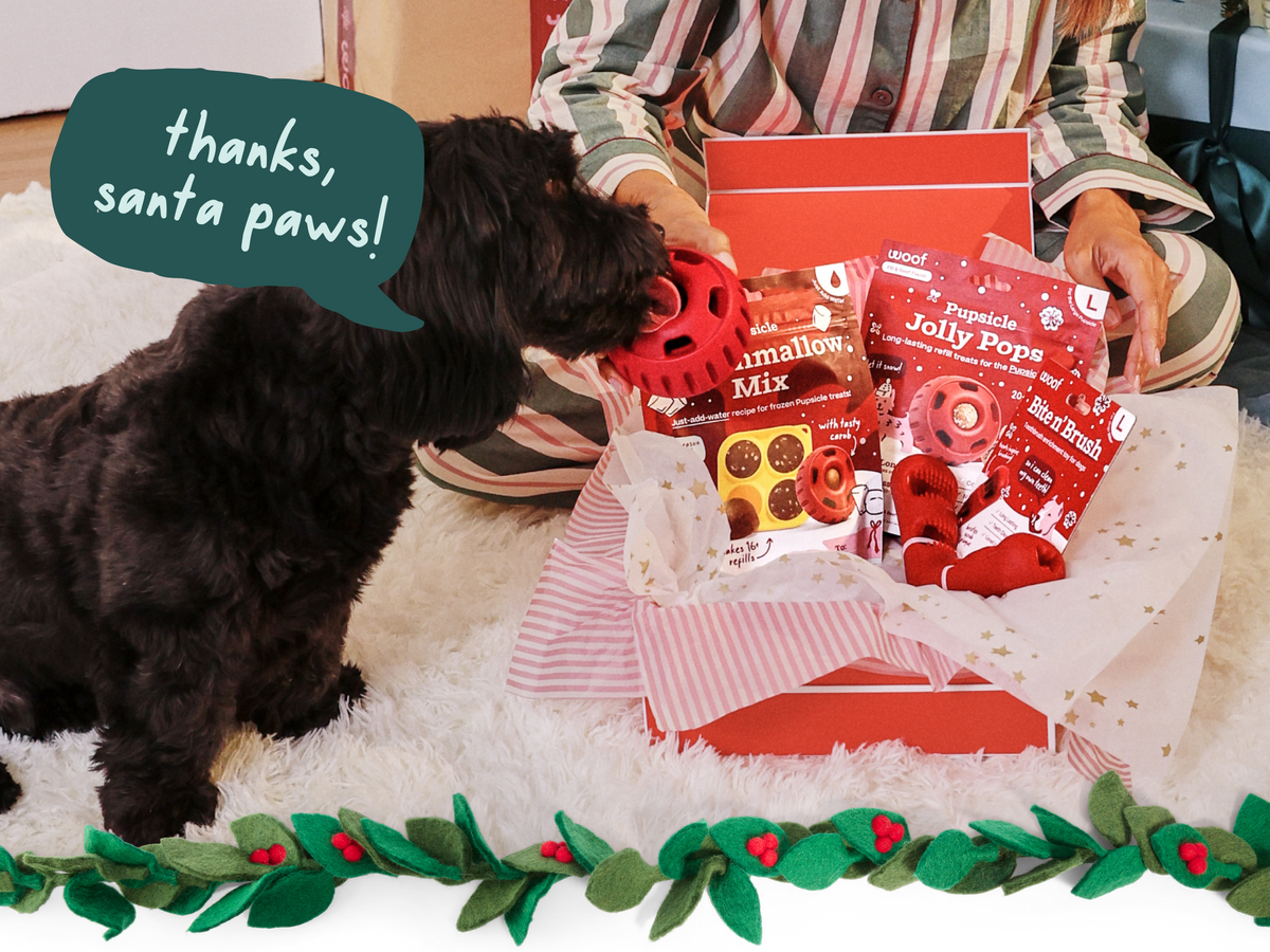 Woof holiday collection of toys and treats