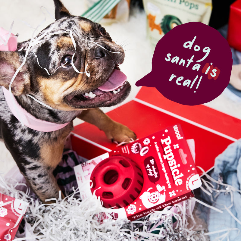 Holiday banner photo for Jolly Pupsicle and Pops