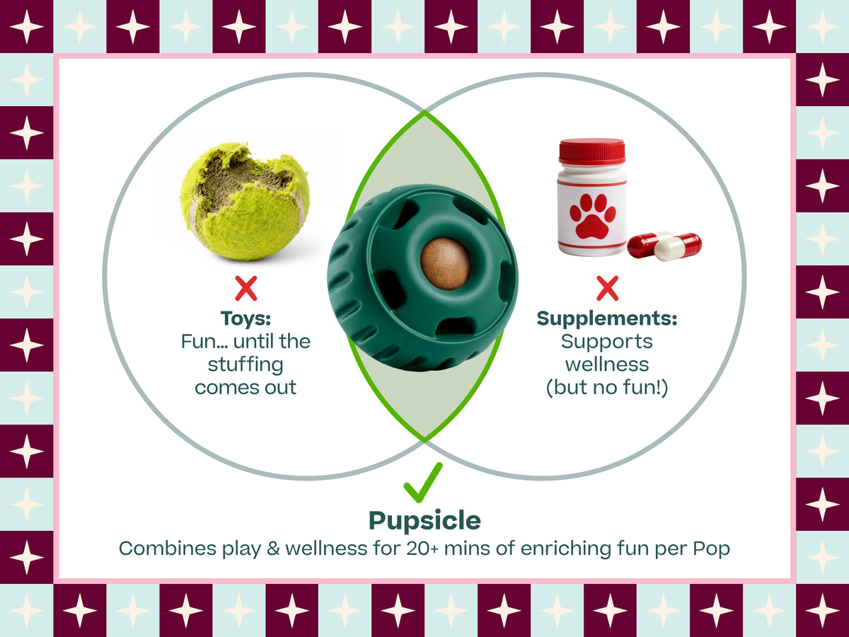 Comparison graphic showing the problem with most dog toys and supplements